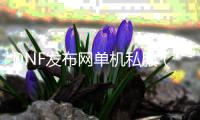 DNF发布网单机私服（DNF发布网单机端）